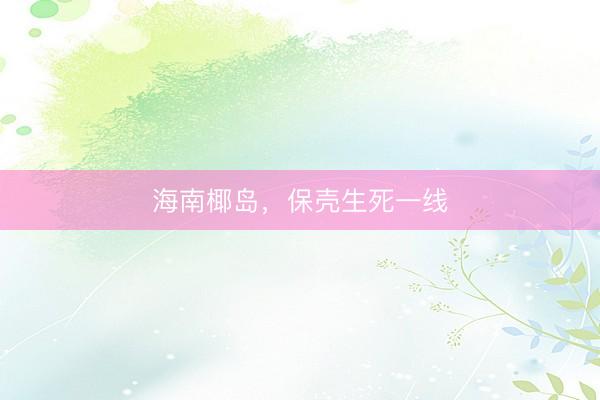 海南椰岛，保壳生死一线