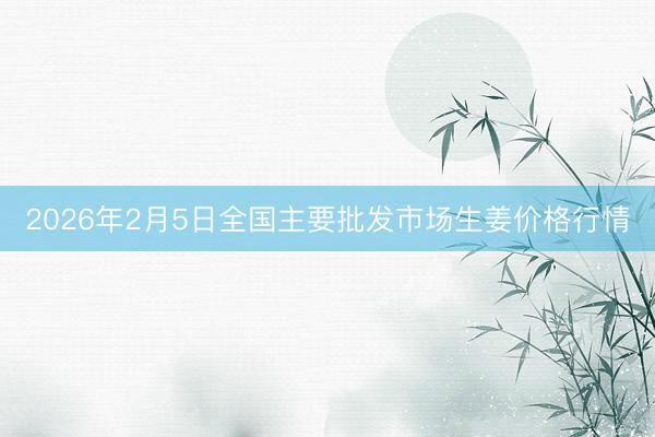 2026年2月5日全国主要批发市场生姜价格行情