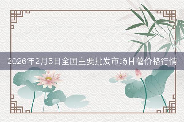 2026年2月5日全国主要批发市场甘薯价格行情