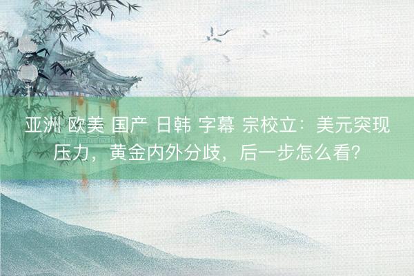 亚洲 欧美 国产 日韩 字幕 宗校立：美元突现压力，黄金内外分歧，后一步怎么看？
