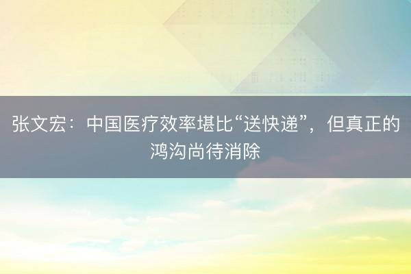 张文宏：中国医疗效率堪比“送快递”，但真正的鸿沟尚待消除