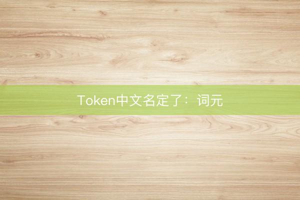 Token中文名定了：词元