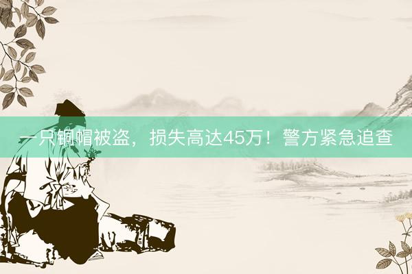 一只铜帽被盗，损失高达45万！警方紧急追查