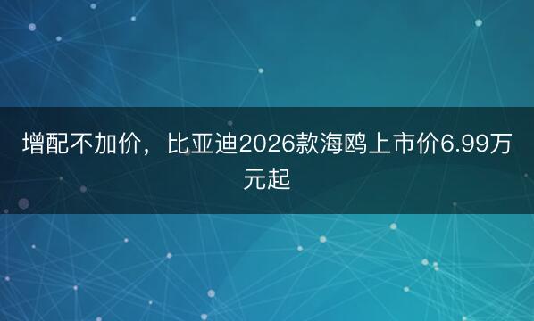 增配不加价，比亚迪2026款海鸥上市价6.99万元起