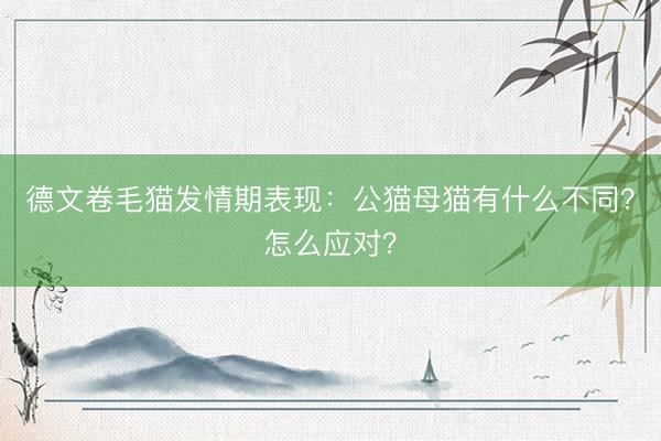 德文卷毛猫发情期表现：公猫母猫有什么不同？怎么应对？