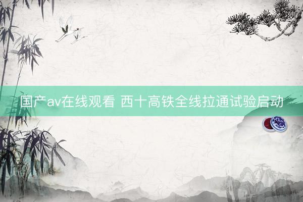 国产av在线观看 西十高铁全线拉通试验启动