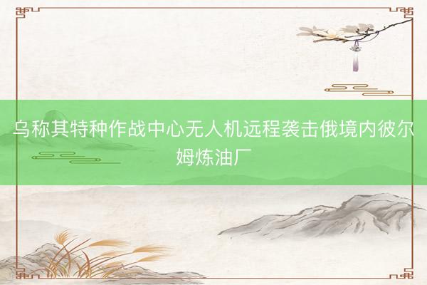 乌称其特种作战中心无人机远程袭击俄境内彼尔姆炼油厂