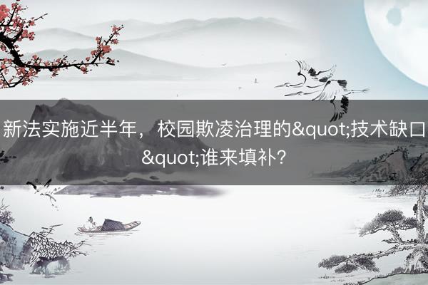 新法实施近半年，校园欺凌治理的"技术缺口"谁来填补？