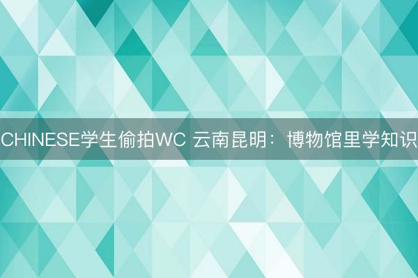 CHINESE学生偷拍WC 云南昆明：博物馆里学知识