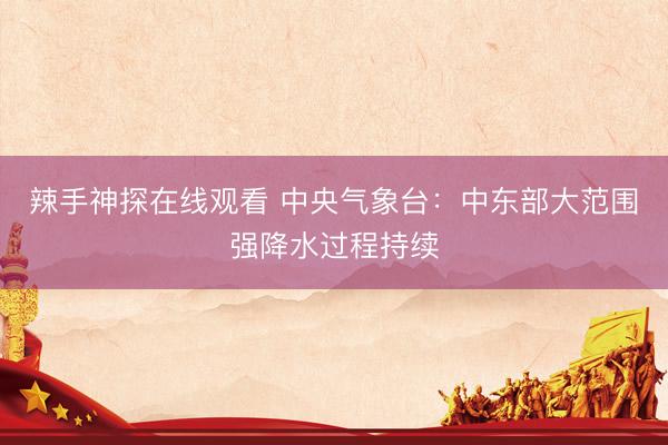 辣手神探在线观看 中央气象台：中东部大范围强降水过程持续