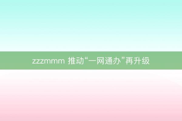 zzzmmm 推动“一网通办”再升级