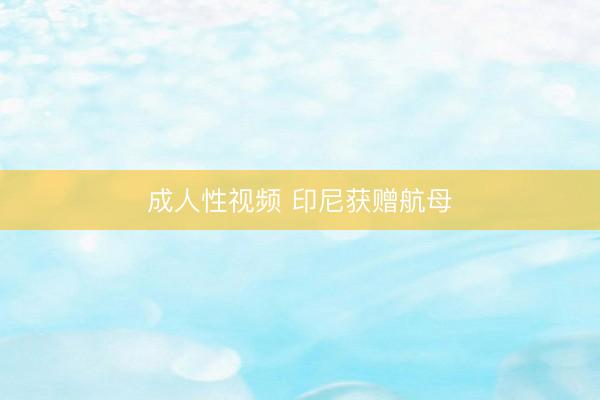 成人性视频 印尼获赠航母