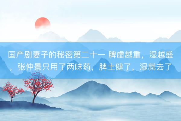国产剧妻子的秘密第二十一 脾虚越重，湿越盛，张仲景只用了两味药，脾土健了，湿就去了