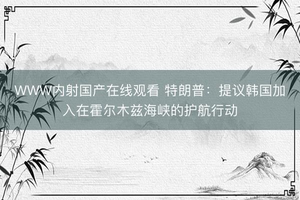 WWW内射国产在线观看 特朗普：提议韩国加入在霍尔木兹海峡的护航行动