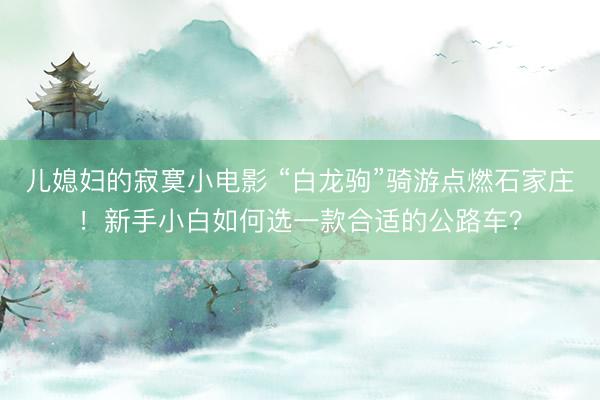儿媳妇的寂寞小电影 “白龙驹”骑游点燃石家庄！新手小白如何选一款合适的公路车？
