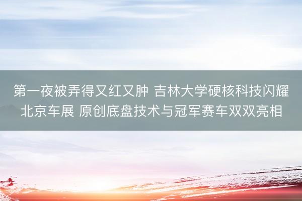第一夜被弄得又红又肿 吉林大学硬核科技闪耀北京车展 原创底盘技术与冠军赛车双双亮相