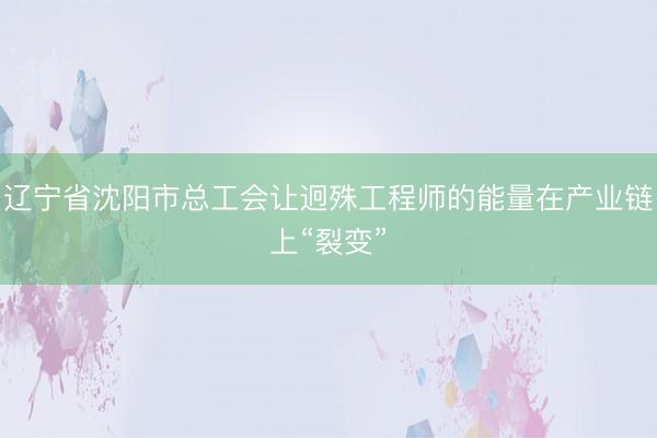 辽宁省沈阳市总工会让迥殊工程师的能量在产业链上“裂变”