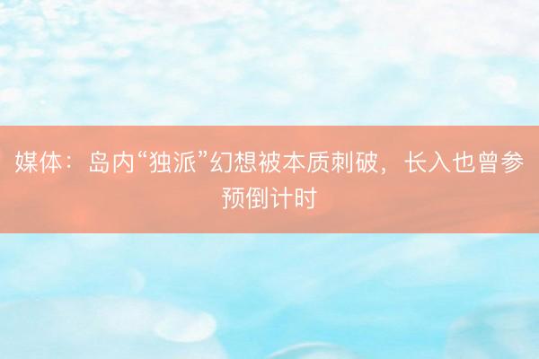 媒体：岛内“独派”幻想被本质刺破，长入也曾参预倒计时