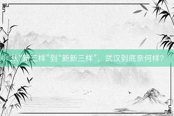 从“新三样”到“新新三样”，武汉到底奈何样？