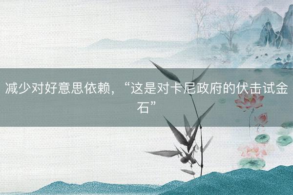 减少对好意思依赖，“这是对卡尼政府的伏击试金石”