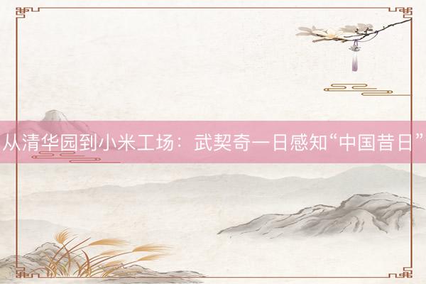 从清华园到小米工场：武契奇一日感知“中国昔日”