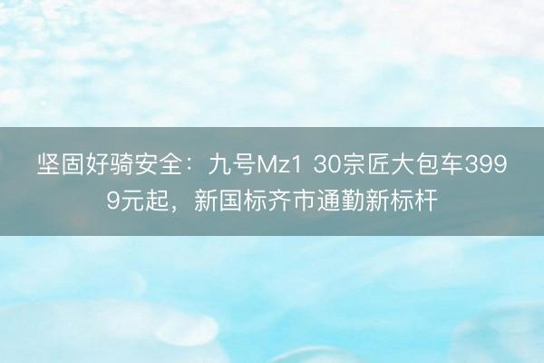 坚固好骑安全：九号Mz1 30宗匠大包车3999元起，新国标齐市通勤新标杆