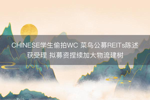 CHINESE学生偷拍WC 菜鸟公募REITs陈述获受理 拟募资捏续加大物流建树