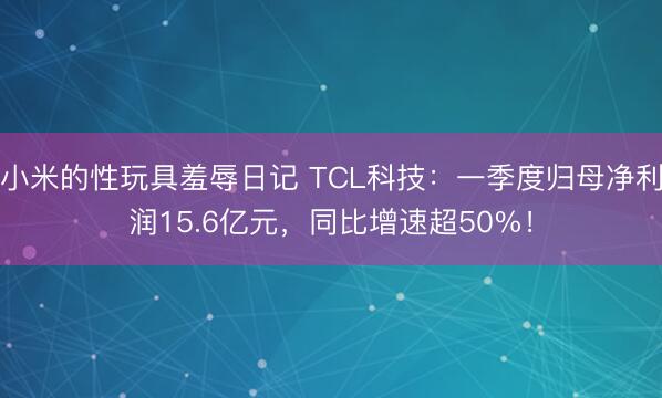 小米的性玩具羞辱日记 TCL科技：一季度归母净利润15.6亿元，同比增速超50%！