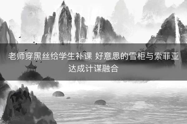 老师穿黑丝给学生补课 好意思的雪柜与索菲亚达成计谋融合