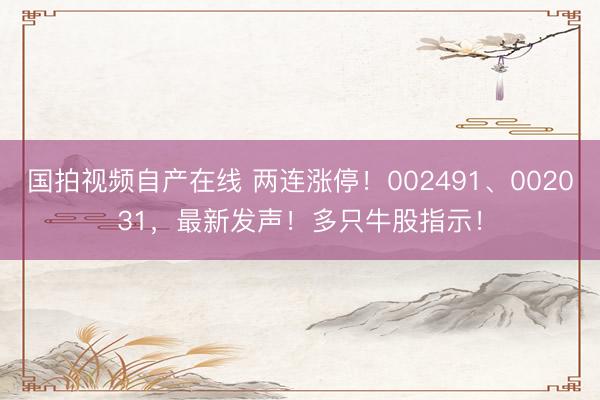 国拍视频自产在线 两连涨停！002491、002031，最新发声！多只牛股指示！
