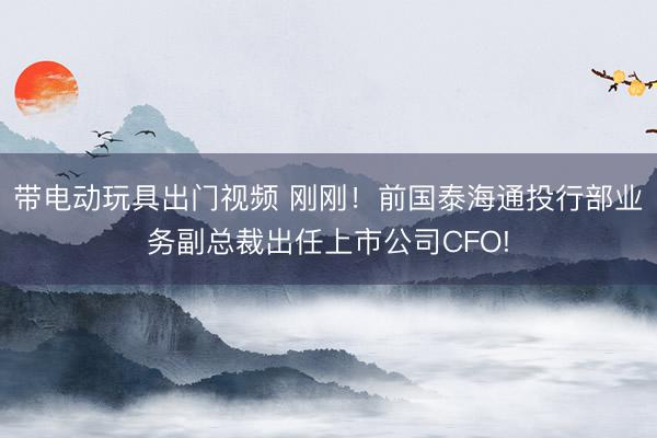 带电动玩具出门视频 刚刚！前国泰海通投行部业务副总裁出任上市公司CFO!