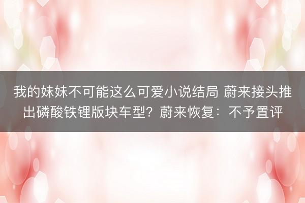 我的妹妹不可能这么可爱小说结局 蔚来接头推出磷酸铁锂版块车型？蔚来恢复：不予置评