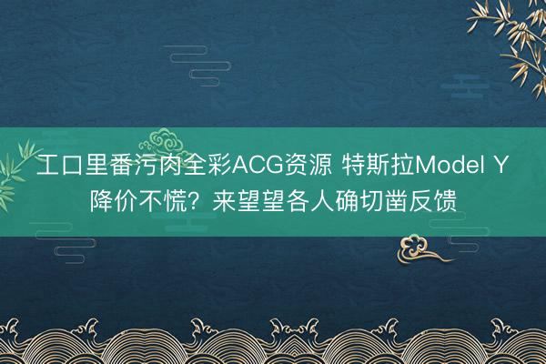 工口里番污肉全彩ACG资源 特斯拉Model Y降价不慌？来望望各人确切凿反馈