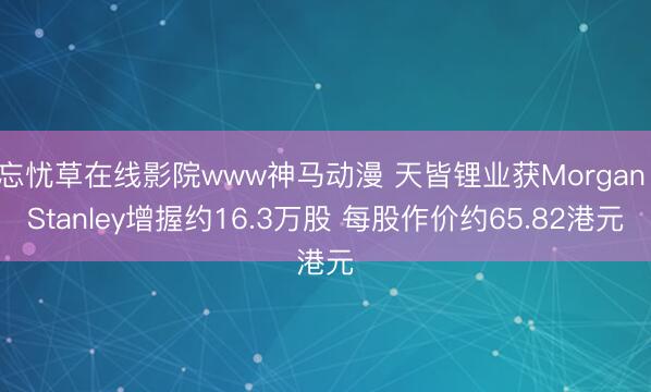 忘忧草在线影院www神马动漫 天皆锂业获Morgan Stanley增握约16.3万股 每股作价约65.82港元