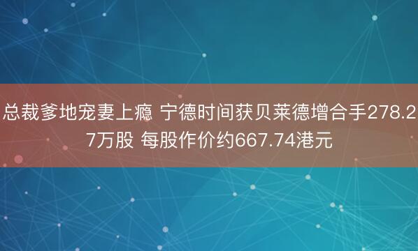总裁爹地宠妻上瘾 宁德时间获贝莱德增合手278.27万股 每股作价约667.74港元