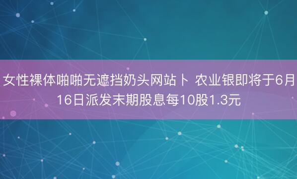 女性裸体啪啪无遮挡奶头网站卜 农业银即将于6月16日派发末期股息每10股1.3元