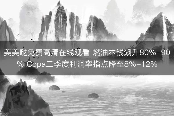 美美哒免费高清在线观看 燃油本钱飙升80%-90% Copa二季度利润率指点降至8%-12%