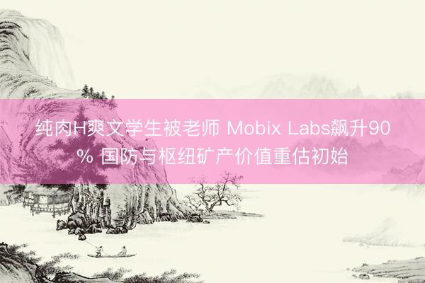 纯肉H爽文学生被老师 Mobix Labs飙升90% 国防与枢纽矿产价值重估初始