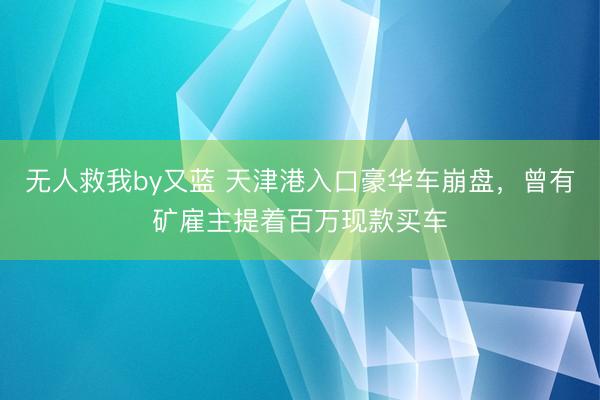无人救我by又蓝 天津港入口豪华车崩盘，曾有矿雇主提着百万现款买车