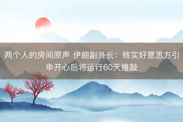 两个人的房间原声 伊朗副外长：核实好意思方引申开心后将运行60天推敲