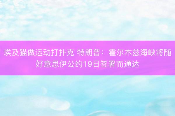 埃及猫做运动打扑克 特朗普：霍尔木兹海峡将随好意思伊公约19日签署而通达