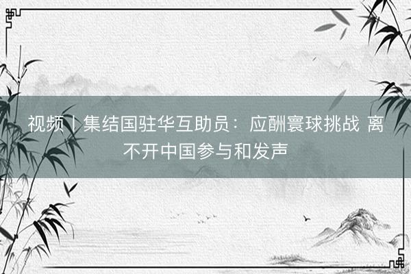 视频丨集结国驻华互助员：应酬寰球挑战 离不开中国参与和发声