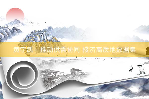 黄宇凯：推动供需协同 接济高质地数据集