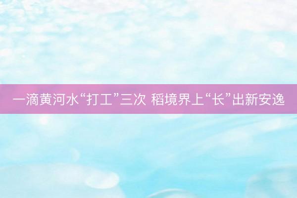 一滴黄河水“打工”三次 稻境界上“长”出新安逸